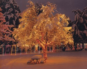 winterspirit-1