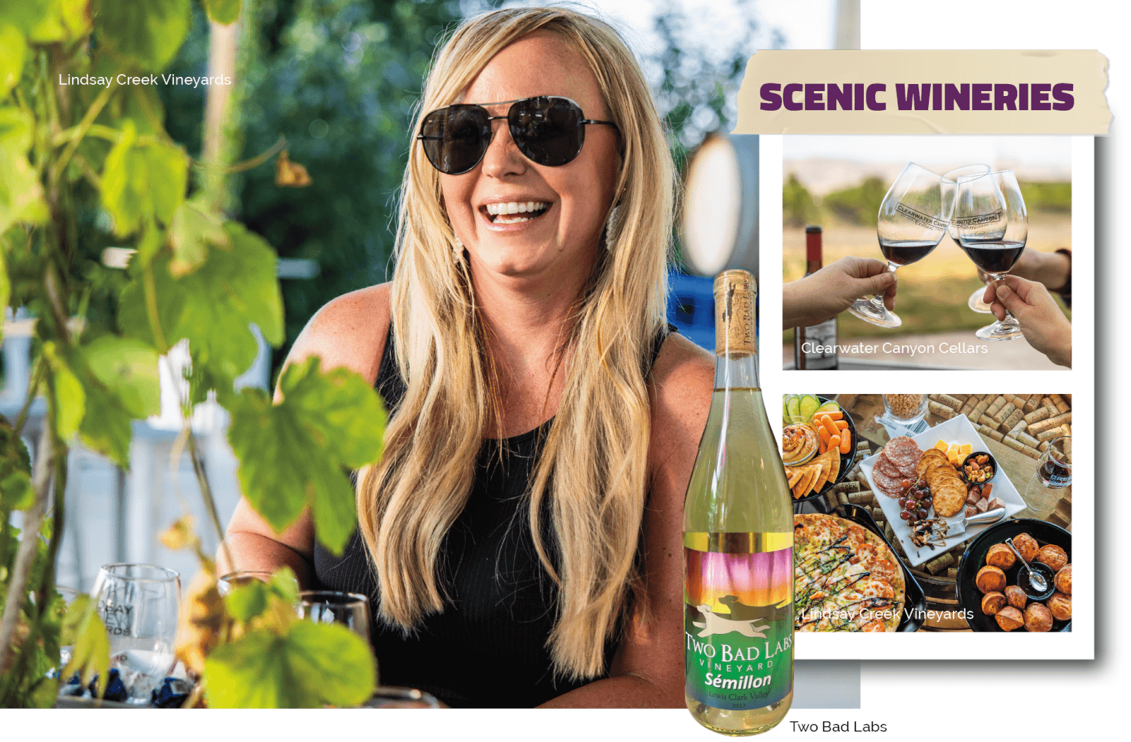 Sip & Tour Lewis Clark Valley Wineries